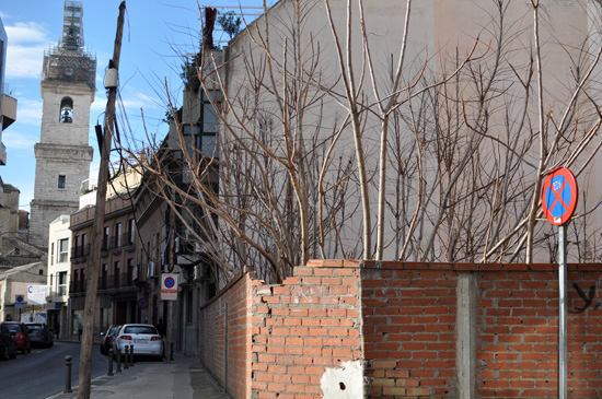 solar-arboreo2