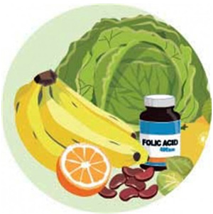 acidofolico01