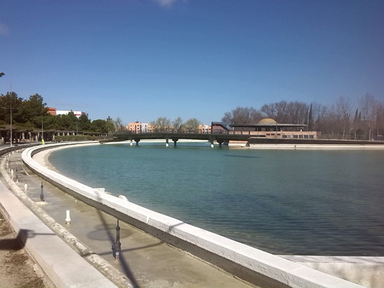 lagopilar01