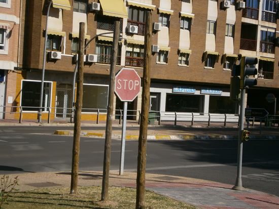 r_P5040004
