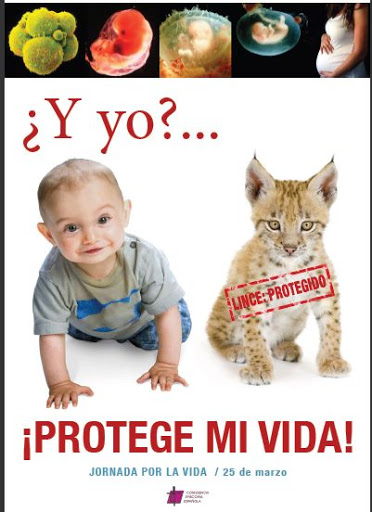 conferencia-lince