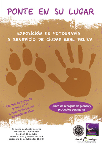 expo-felina-03