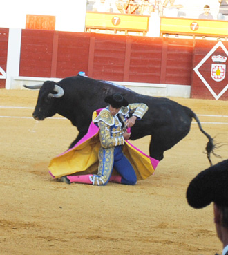 almagro-toros