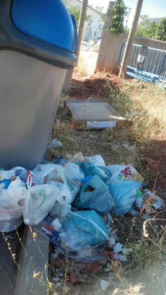 basura-alcazar