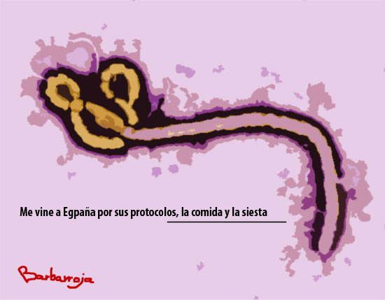 master-sanidad