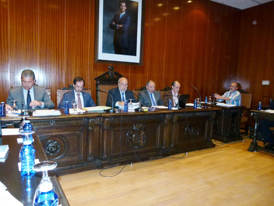 pleno-manzanares
