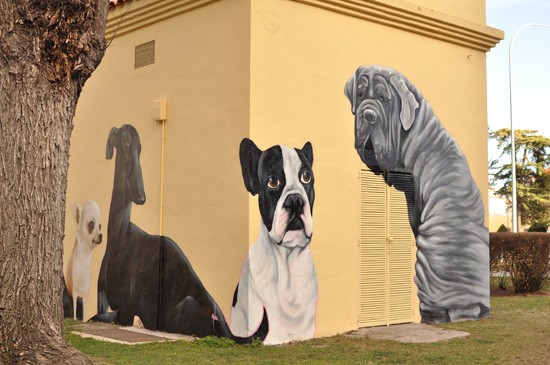grafiti-perros-04