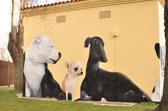 grafiti-perros-05