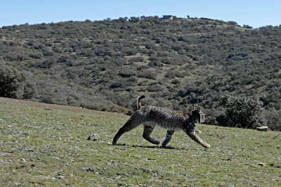 Foto: Carlos Serrano