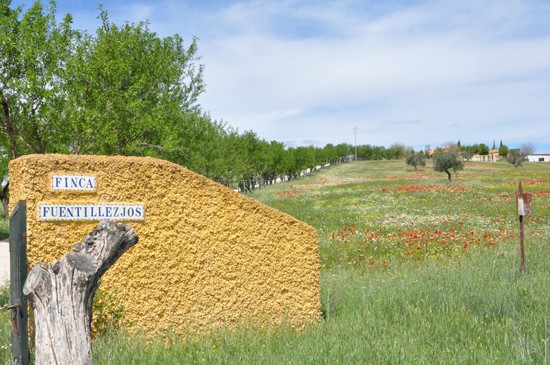finca-fuentillezjos-02