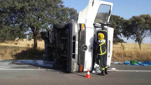 Herido leve un conductor tras volcar con un camión lleno de flores en la CM 415