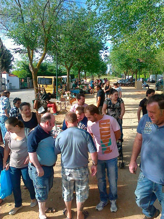 mercadillo-yolibey-01