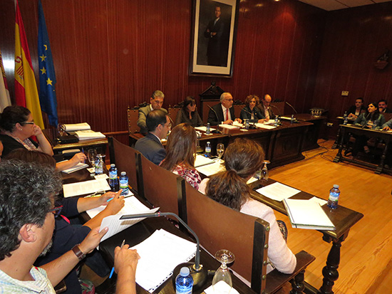 pleno-manzanares