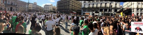 toro de la vega 02