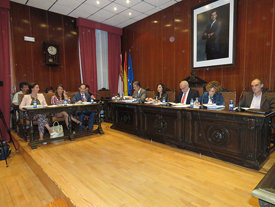 pleno-manzanares-tasas