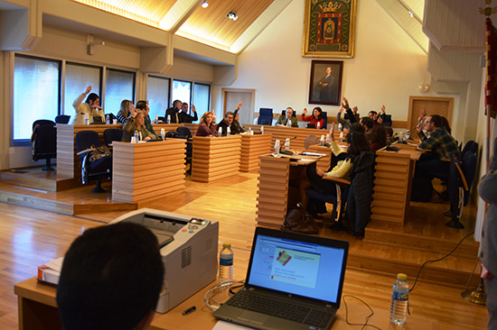 pleno-elecciones