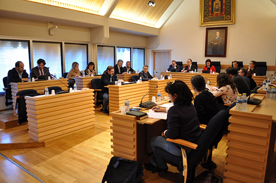 pleno-noviembre