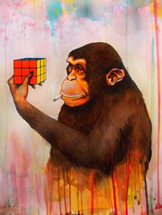 940895_1005110576212657_5435374434295399239_n