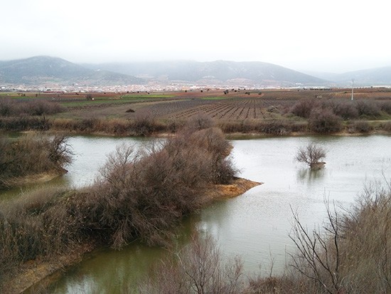 humedales-01