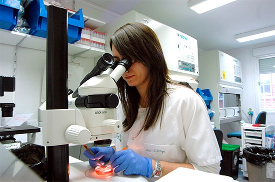 investigacion