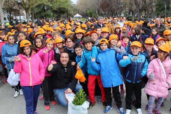 planta11