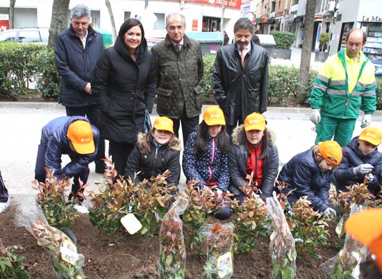 planta14