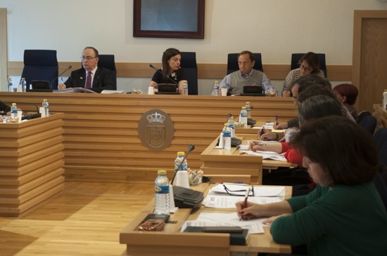 pleno mayo2