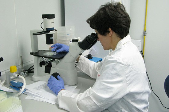micro-invertido-cultivo-celular-(1)