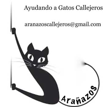 arañazos1