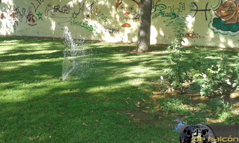 Vandalismo en el parque contiguo al Instituto Atenea