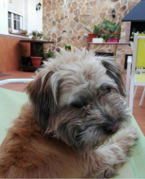 cleo2