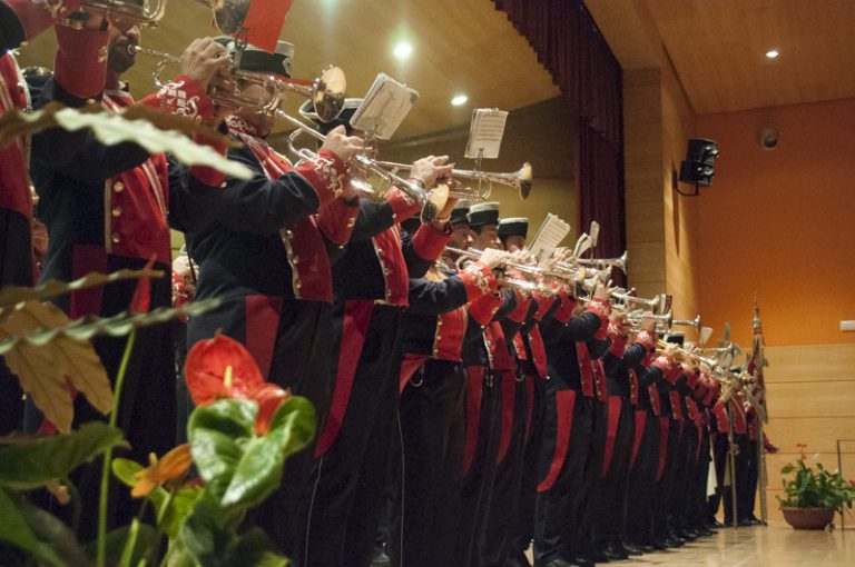 Sones de solidaridad