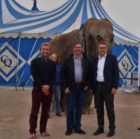 pp-circo-dumbo