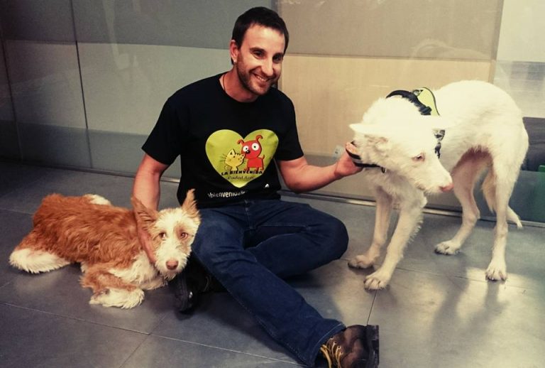 Ocho apellidos caninos: Raíz, Tierra y La Bienvenida, en El Hormiguero de Antena 3 con Dani Rovira