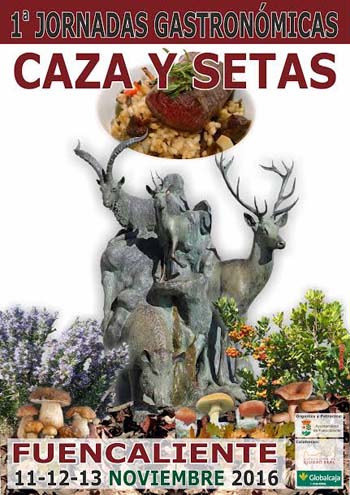 setas1