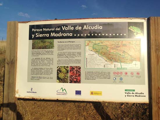 alcudia
