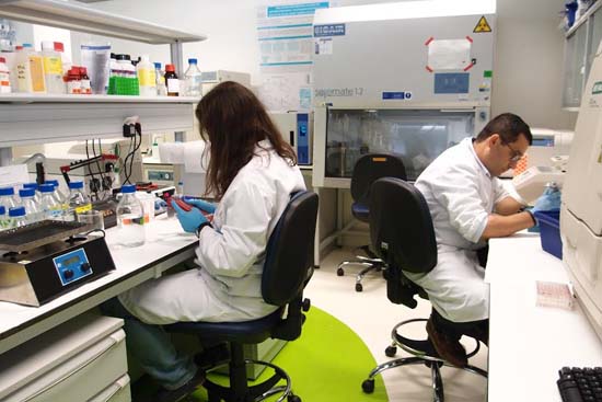 ciencia