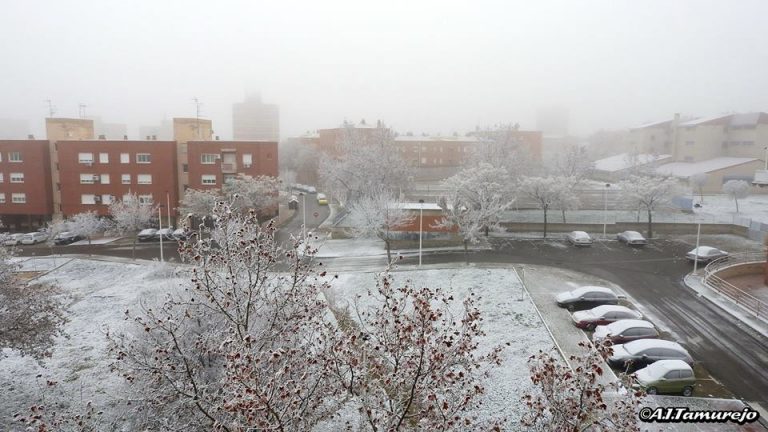 La provincia de Ciudad Real se levanta con cencellada