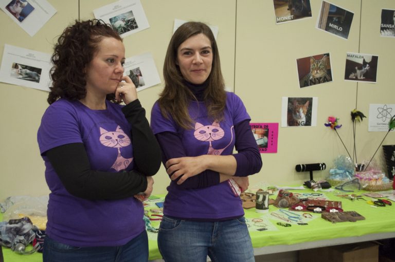 Salón Felino de Ciudad Real: Las asociaciones arañan el compromiso del Ayuntamiento para implantar el método CES