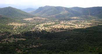 sierramorena