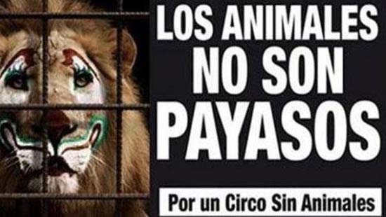 circo3
