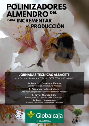 global copia