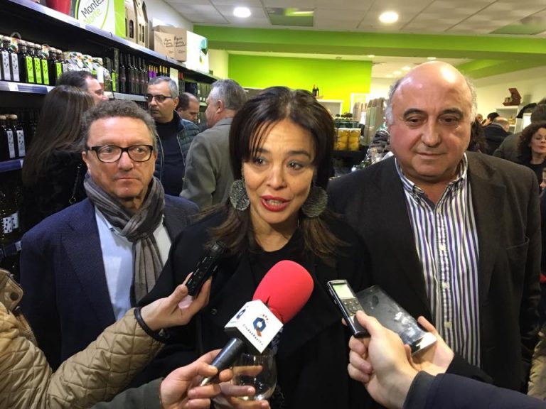 Montes Norte baja al centro de Ciudad Real