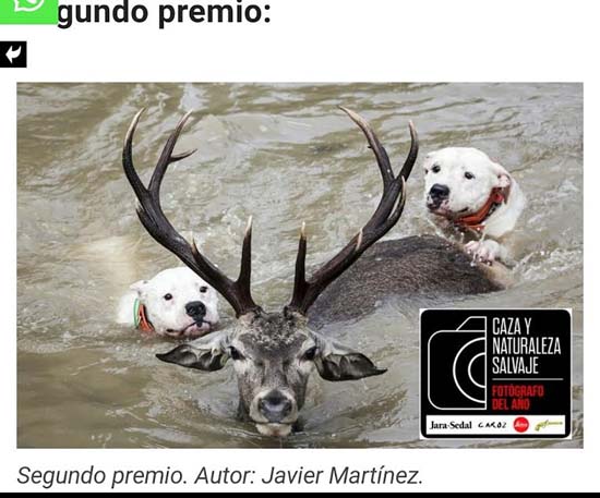 jara