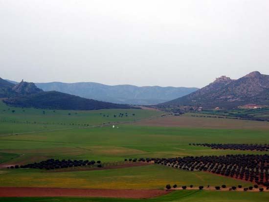 calzada