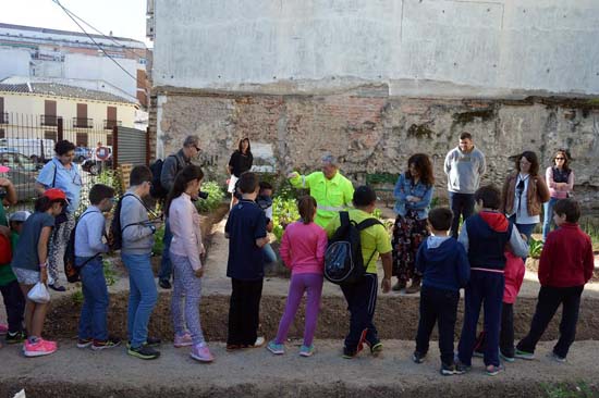 huerto1