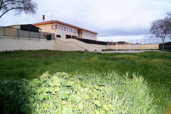 merce1