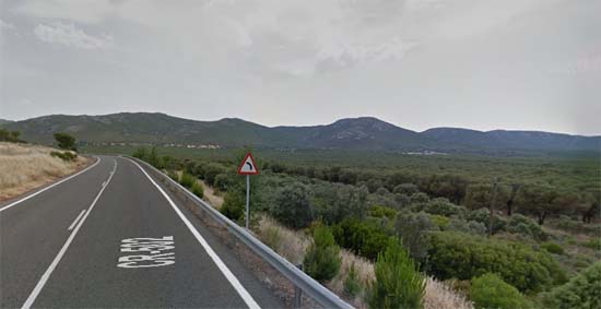 pinos