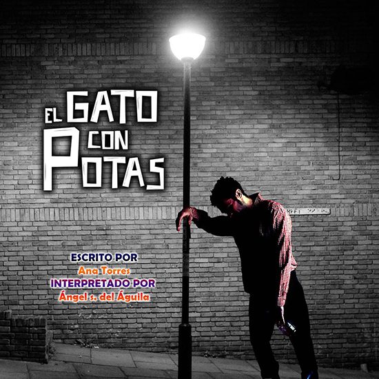 el-gato-con-potas