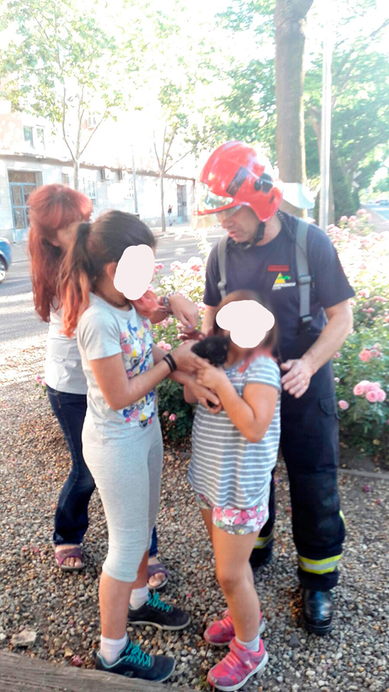 rescate-gato-3